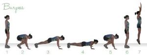 Burpee